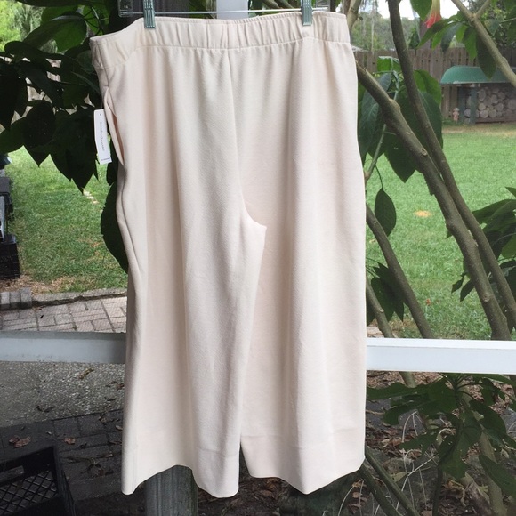 John Paul Richard Pants XL in Sand Dollar Color - Picture 2 of 6